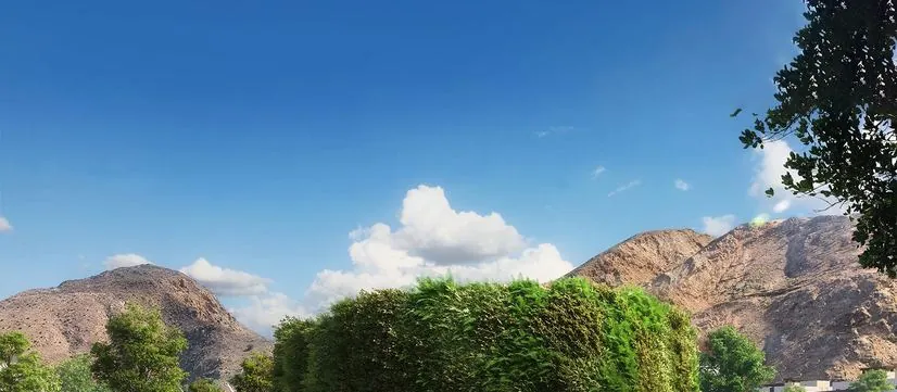 Green spine landscape