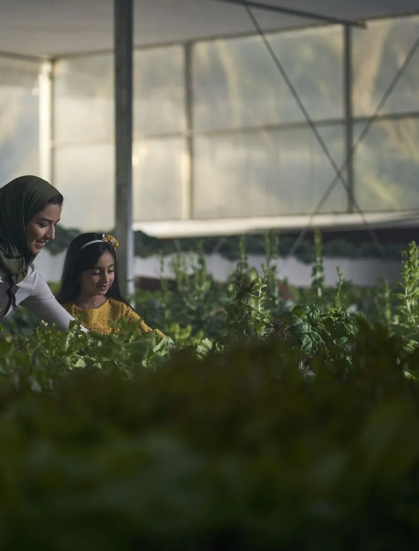Urban farm greenhouse
